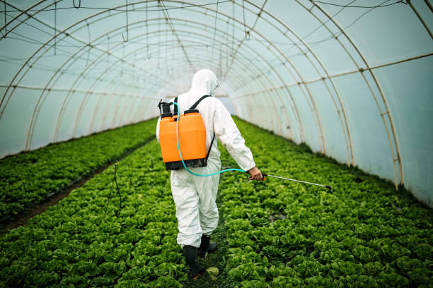 Best Bed Bug Extermination  in Seabrook Farms, NJ
