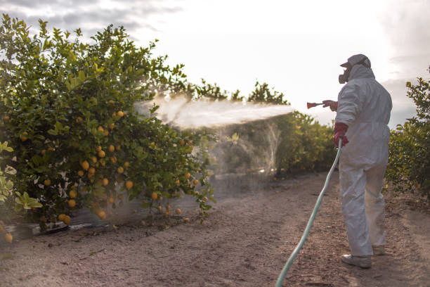 Best Best Pest Control Companies  in Seabrook Farms, NJ