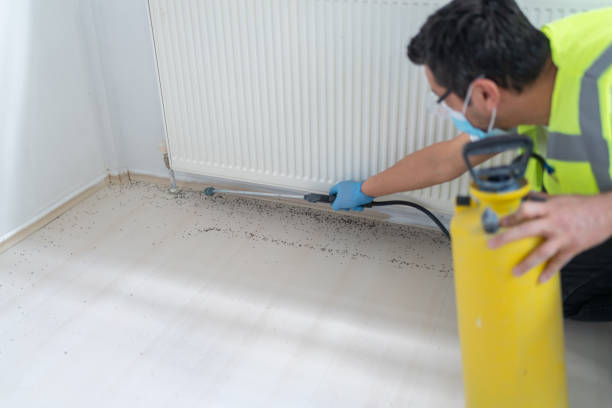 Best Termite Control Services  in Seabrook Farms, NJ