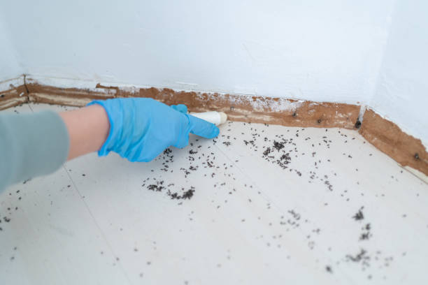 Best Pest Control Near Me  in Seabrook Farms, NJ