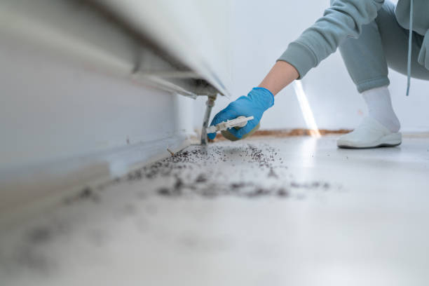 Best Cockroach Control Services  in Seabrook Farms, NJ