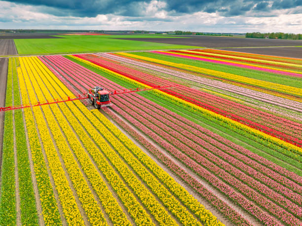 Reliable Seabrook Farms, NJ Pest Control Solutions